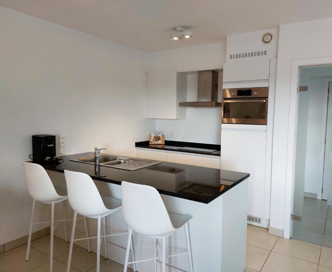 Duplex Villa Capricia Appartement Met Zwembad Nieuwpoort Jachthaven Exteriör bild