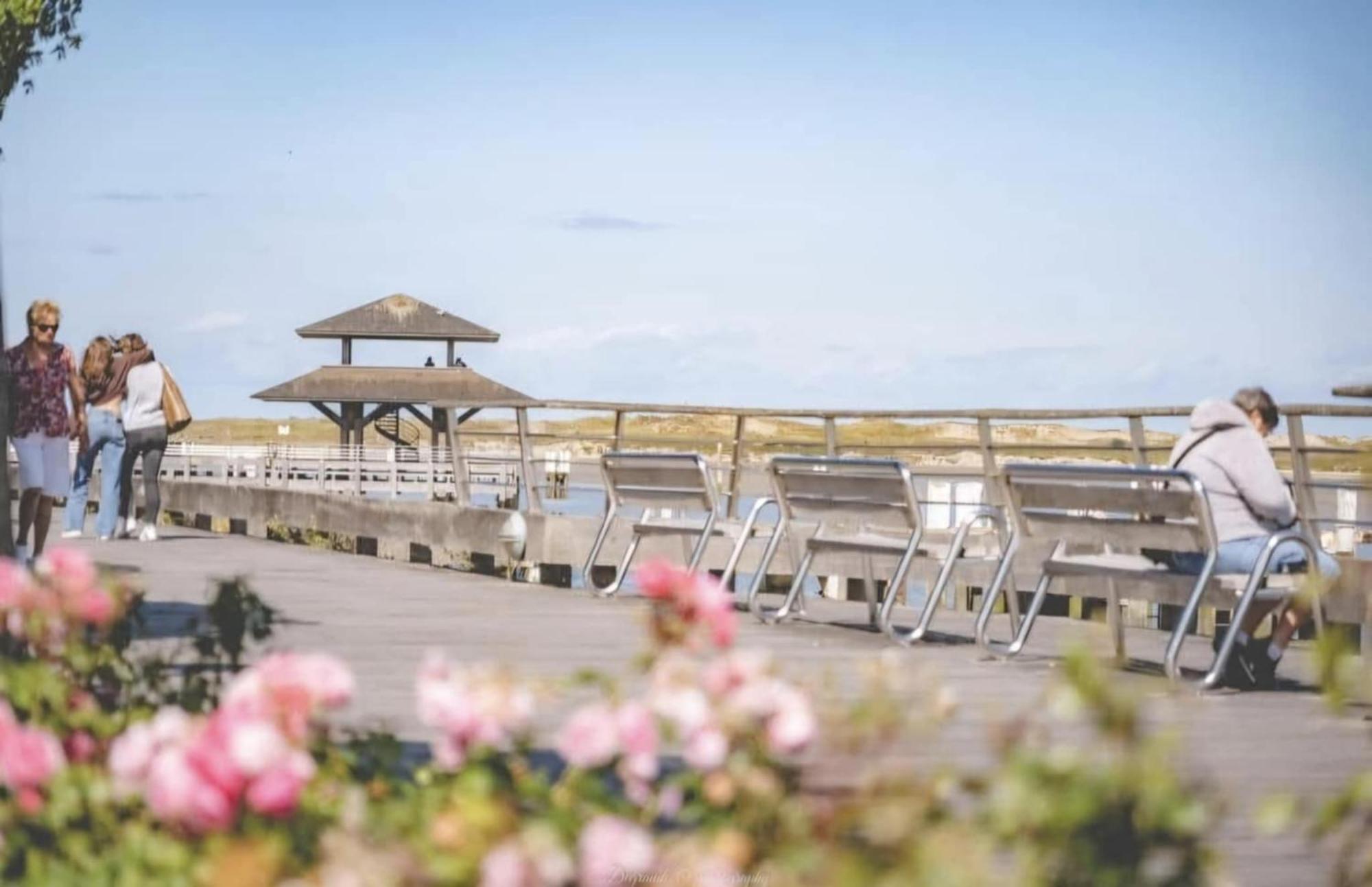 Duplex Villa Capricia Appartement Met Zwembad Nieuwpoort Jachthaven Exteriör bild